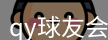 qy球友会